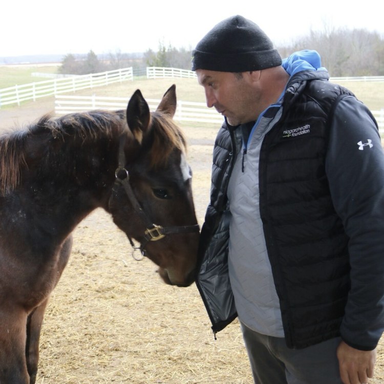 Matt Harris greeting a young horse at a paddock fence